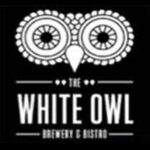 white owl